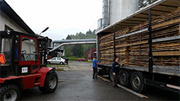 Sale of beech timber